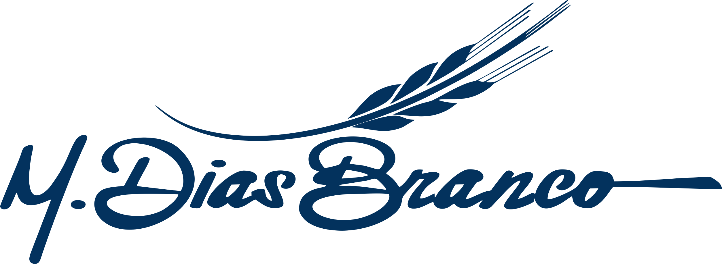 Logo_M._Dias_Branco